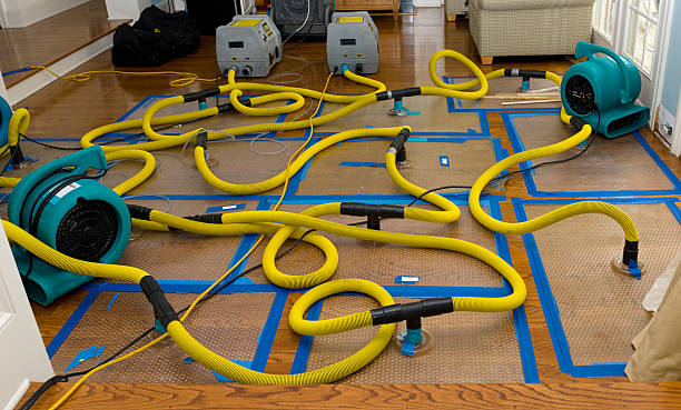 Professional Basement Flood Cleanup technician working in Sherrodsville, OH